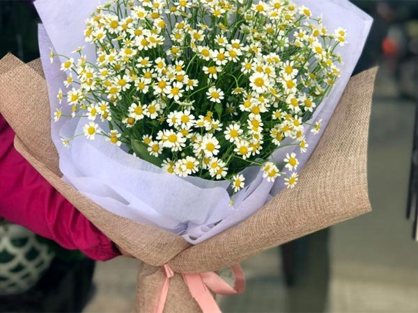 trà hoa Xuyến chi