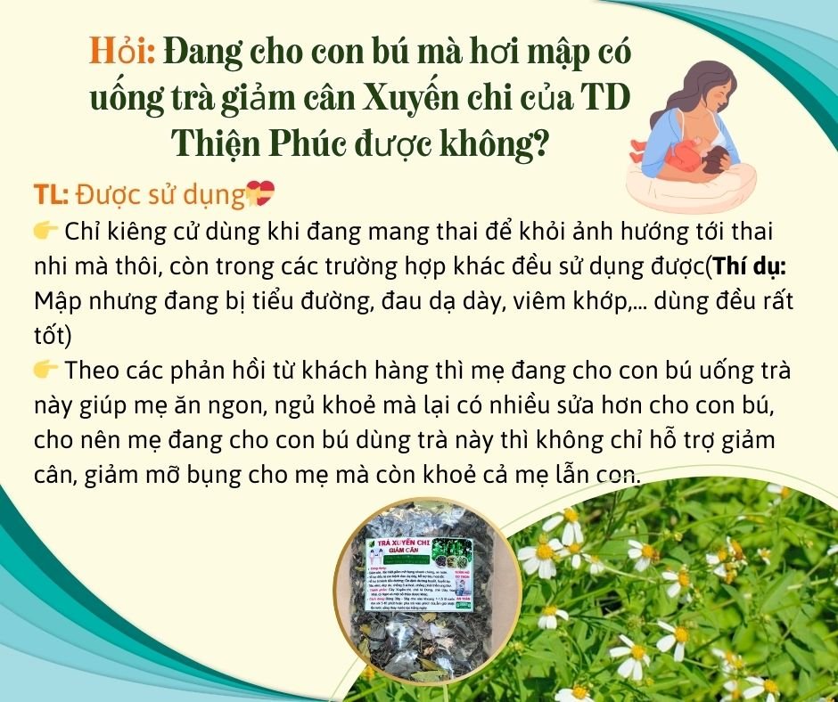Trà giảm cân Xuyến chi tốt cho cả mẹ đang cho con bú