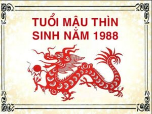 Năm 2024 tuổi con gì