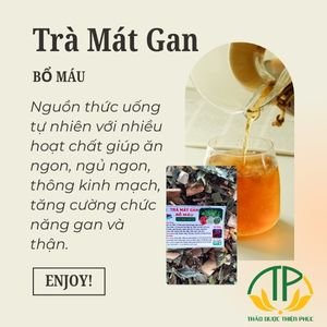 Trà mát gan bổ máu