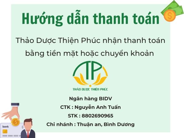 Hướng dẫn thanh toán