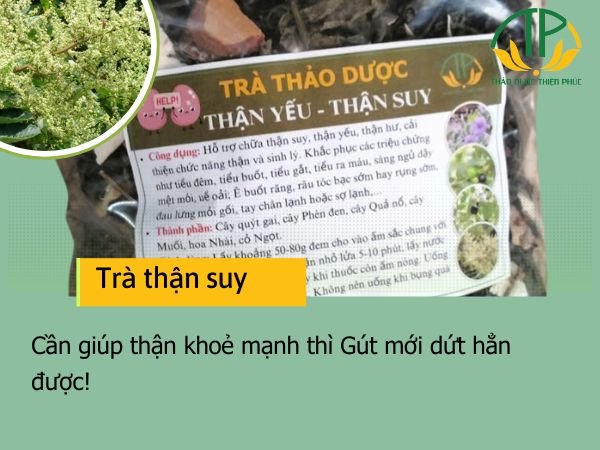 Muốn Gút hết đứt điểm thì thận phải khoẻ