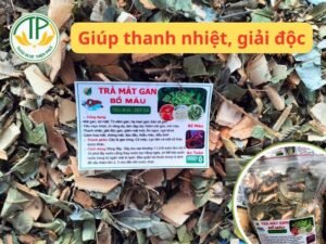 Trà mát gan bổ máu của thảo dược Thiện Phúc