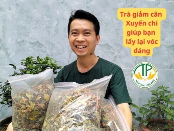 Trà giảm cân Xuyến chi Thiện Phúc