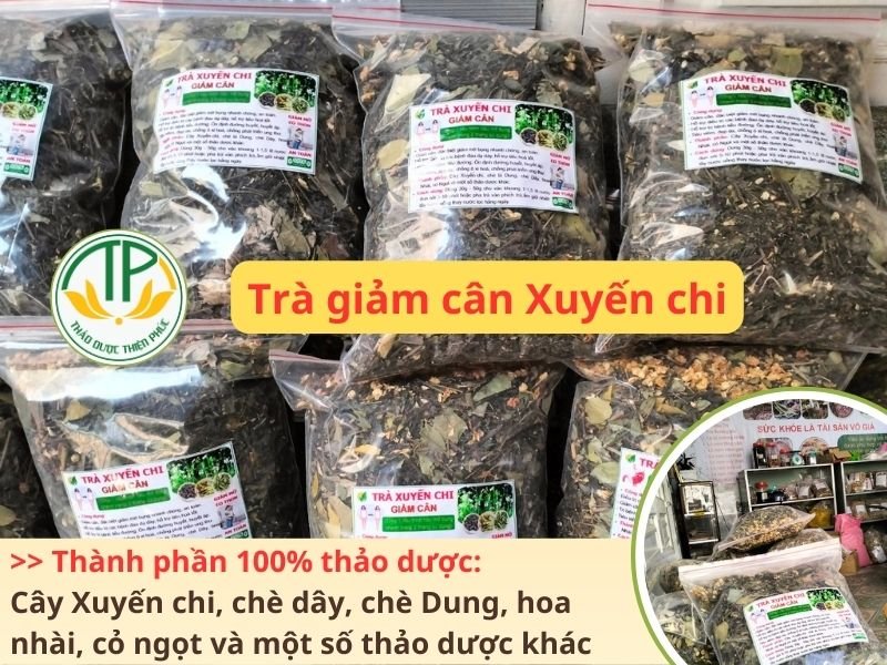 Trà giảm cân Xuyến chi - Thảo dược Thiện Phúc giúp đốt mỡ bụng an toàn và tự nhiên